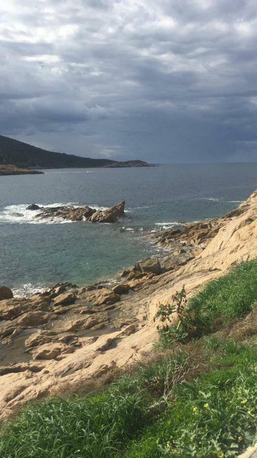 Monolocale Centro L'Ile Rousse A 100Mt Dalla Spiaggia Dış mekan fotoğraf